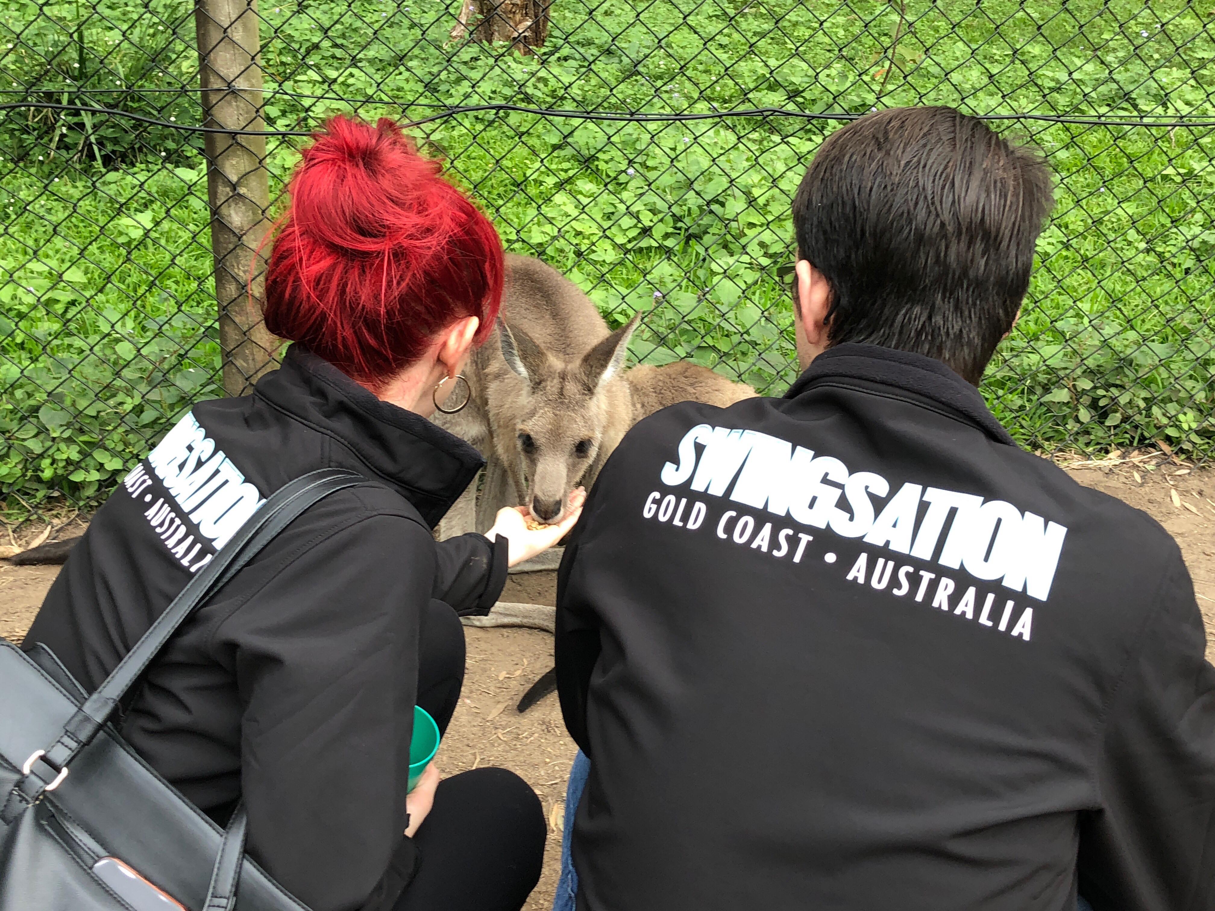 Swingsation Social 2019 Australia Zoo